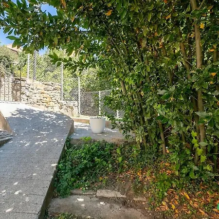 Casa Feli - Con Jardin Privado En Pirineos Daire *