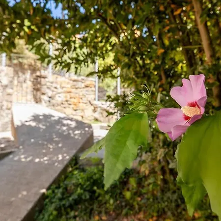 Casa Feli - Con Jardin Privado En Pirineos Castiello de Jaca